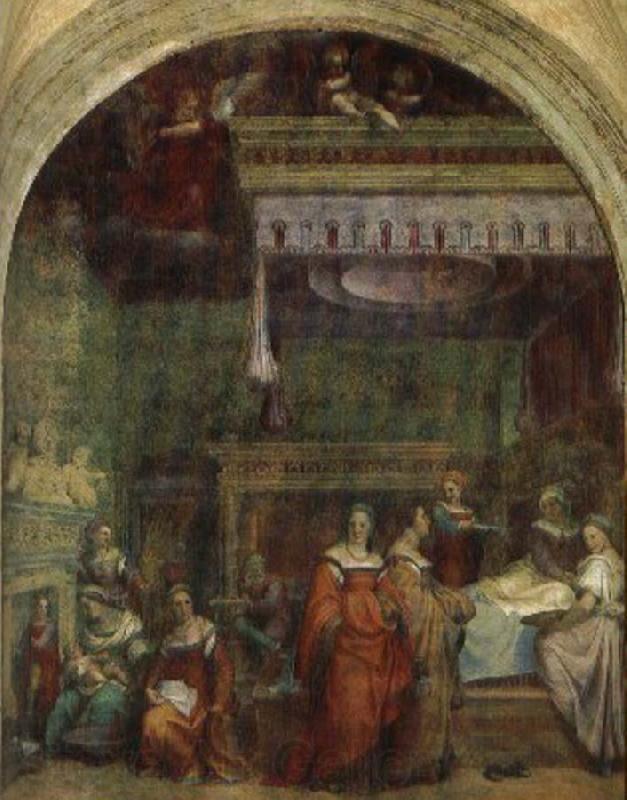 Andrea del Sarto Virgin birth Spain oil painting art